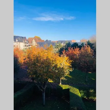 La Petite Madeleine De Proust * Cabourg
