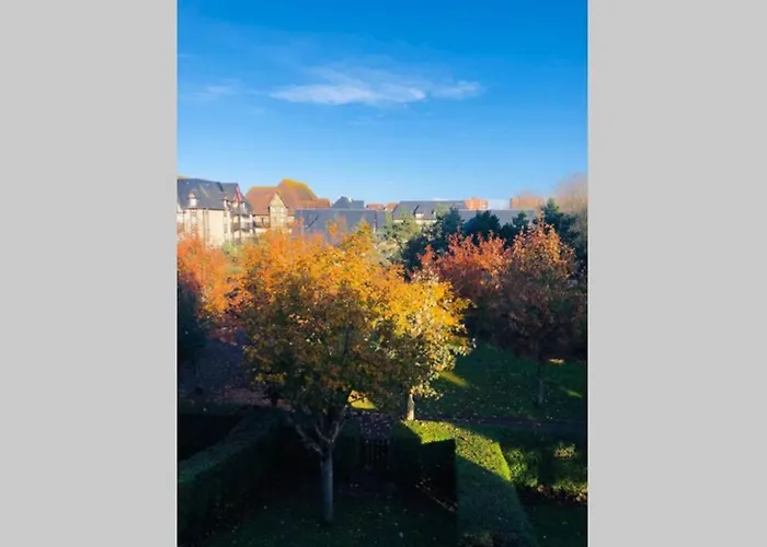 La Petite Madeleine De Proust * Кабур